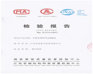 220kV多棱形工业演示动画检验报告