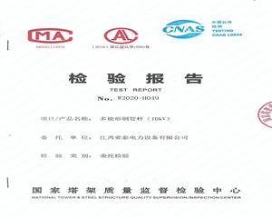 10kV多棱形工业演示动画检验报告